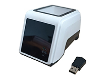 511Wɨ��У���ҵ����